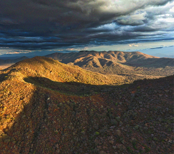 Mkomazi Wilderness